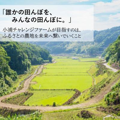ふるさと納税 日高町 2025年産(令和7年産)!日高町小浦の無洗米「小浦れんげ米」3kg |  | 01