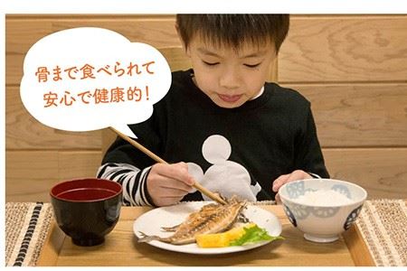 壱岐産旬の干物（3から5匹） 家庭用[JBD016]