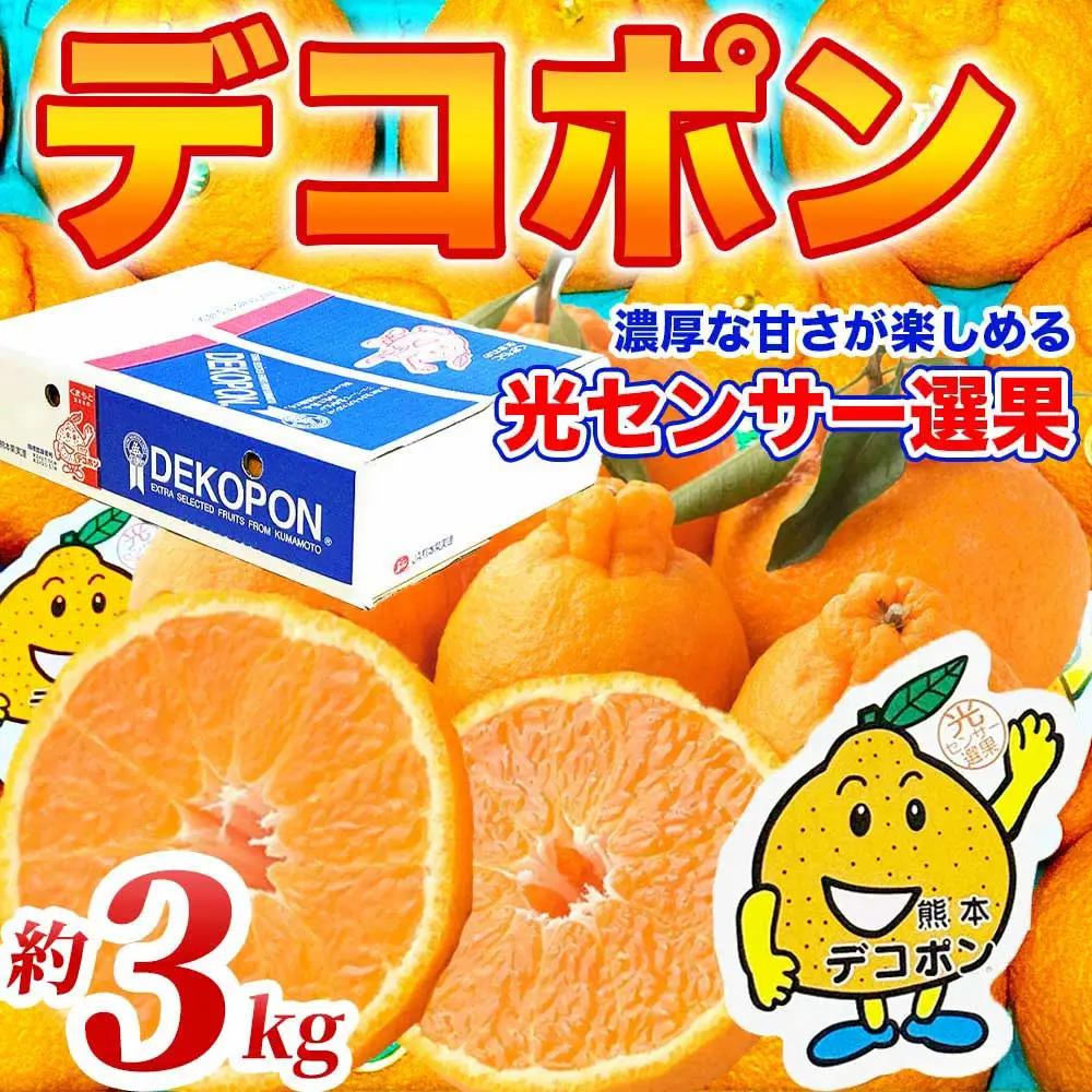先行予約 デコポン 約3㎏（6～13玉 ）【2026年12月上旬～2027年4月上旬発送予定】