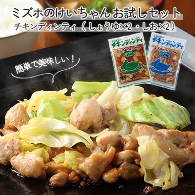 ふるさと納税 下呂市 ミズホのケイちゃんお試しセット チキンディンティ(しょうゆ×2 しお×2) 計4個【21-4】