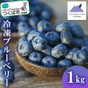 【ふるさと納税】茨城県つくば市産 冷凍ブルーベリー　1kg | 茨城県 つくば市 ブルーベリー 国産 ベリー スイーツ トッピング 栄養 ジャム 果実 果物 パンケーキ