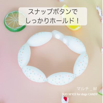 ふるさと納税 神戸市 SUO 18°ICE for dogs CANDY　Mサイズ(マルチ)