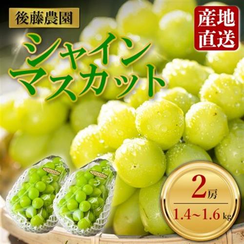 「後藤農園」 シャインマスカット 約1.4kg～約1.6kg 2房【配送不可地域：離島・北海道・沖縄・東北・関東・信越、北陸・東海・四国】【1663118】