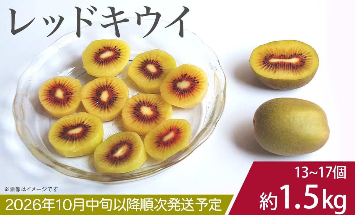 
                  【 数量限定 】【 先行予約 】 キウイ （ レッドキウイ ） M ～ Lサイズ玉 13 ～ 17個セット （ 約1.5kg ）【 2026年10月中旬以降順次発送予定 】【 キウイ 果物 ビタミン カリウム レッドキウイ フルーツ ビタミンC ビタミンE 】
                