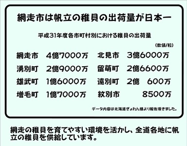 【緊急支援品】ホタテ 全国屈指の謝礼品になるように挑戦！！ オホーツク産 冷凍帆立（ほたて）の貝柱 ２Ｓ大サイズ１kg オホーツク海で取れた帆立を厳選した無添加の帆立の貝柱です。【生産者支援 海産物 