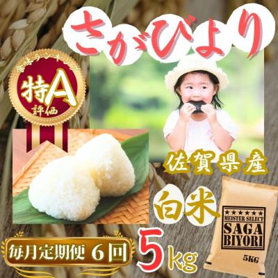 ふるさと納税 伊万里市 【毎月定期便】さがびより【白米】5kg【特A評価】《マイスターセレクト》(伊万里市)全6回