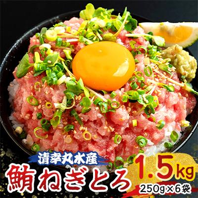 ふるさと納税 君津市 天然 まぐろ ねぎとろ 小分け 250g×6袋(合計1.5kg)