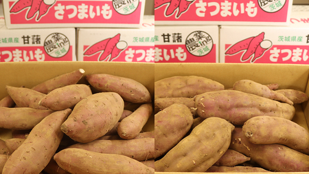 さつまいも 【 紅あずま ・ 紅はるか 】 5kg ( 箱込 )の 2箱セット さつまいも 詰合せ 国産 農園 野菜 サツマイモ 芋 期間限定 デザート スイーツ おやつ 料理 味噌汁 煮物 生芋