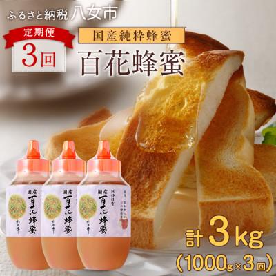 ふるさと納税 八女市 【毎月定期便】かの蜂 国産 百花蜂蜜 合計3kg(とんがり容器1kgを毎月1本お届け) 八女市全3回