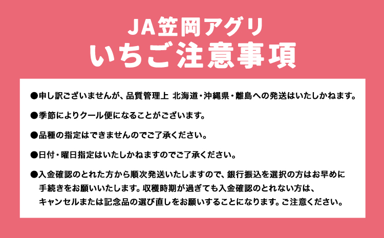 いちご 紅ほっぺ 約1kg(250g×4パック) JA笠岡アグリ《2026年1月中旬-4月上頃出荷》いちご イチゴ ---A-24---