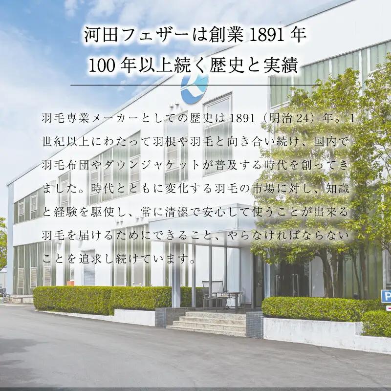 【河田フェザー】 国産 羽根クッション 低反発 高反発 座布団 クッション 羽根 ホワイト 日本製 大きい おおきめ カバー セット おしゃれ kawada 河田フェザー 正規品 癒し やすらぎ 高級