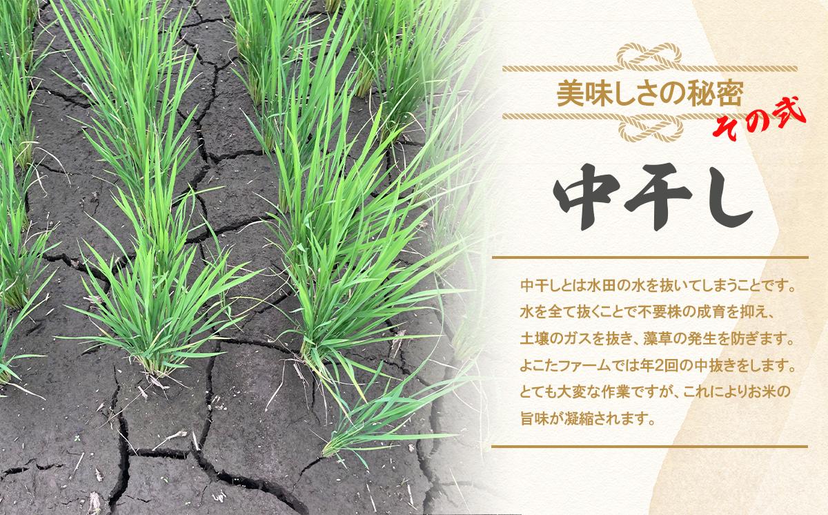 令和7年産 よこたファームのコシヒカリ （ 玄米 ） 10kg 【 米 ライス 玄米 こしひかり 10kg 茨城県産 新米 こだわり こめ コメ お米 2025年産 おこめ R7 ご飯 ごはん 数量 