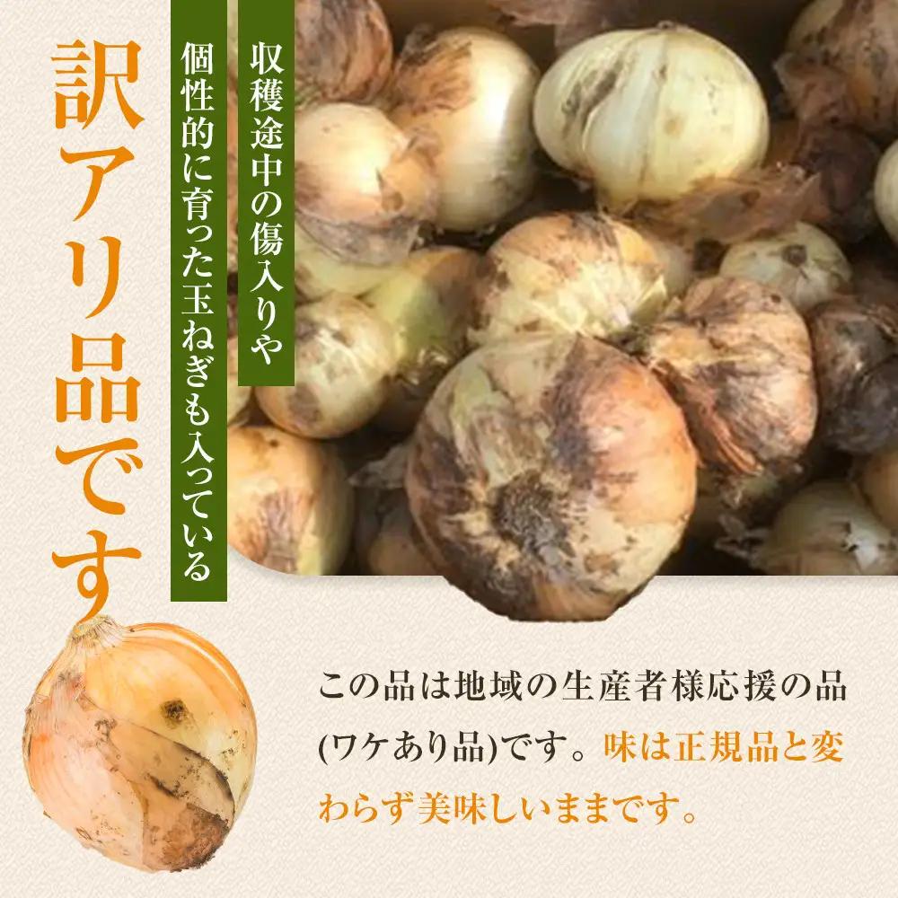 ［2026年発送分・先行予約］訳あり 農家さん直送 低農薬玉ねぎ 4kg程度 S～2L混合［4月中旬～7月中旬頃発送予定］ご家庭用 ※傷有り［KF19］