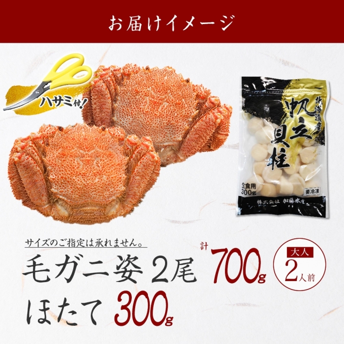 2459. 毛蟹 2尾 ホタテ 専用ハサミ・食べ方ガイド付 毛ガニ 毛がに 蟹 カニ カニ味噌 ほたて 帆立 貝柱 海鮮 ボイル 北海道 弟子屈町_イメージ5