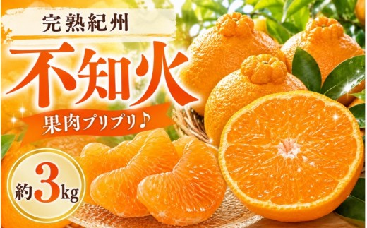 果肉プリプリ♪　完熟紀州不知火 約5kg 【2027年2月下旬頃〜2027年3月中旬頃発送】/柑橘 和歌山県 しらぬい 美味しい 果物 フルーツ