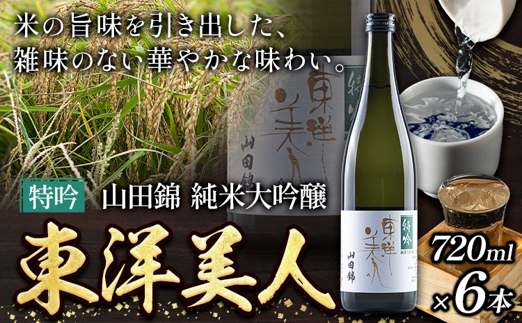 
                  日本酒 東洋美人 特吟 山田錦 純米大吟醸 6本 計4320ml 1本あたり 720ml 福岡吟醸倶楽部株式会社《30日以内に出荷予定(土日祝除く)》福岡県 鞍手郡 鞍手町 酒 冷酒 送料無料
                
