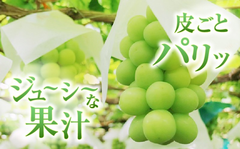 シャインマスカット