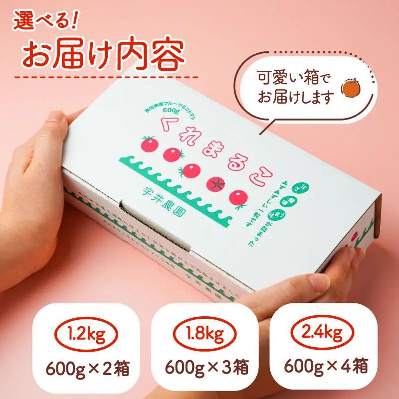 【定期便全6回】 フルーツミニトマト くれまるこ 1.2kg ミニトマト