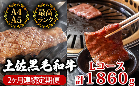 【2回定期便】土佐黒毛和牛 食べ比べ 1860g (計1.8kg以上) | Lコース 厳選 国産 和牛 焼き肉 ステーキ お肉 にく 霜降り 牛肉 モモ肉 もも肉 サーロイン 人気 贈答 ギフト プレゼント 小分け 数量限定 2ヵ月 頒布会 老舗 たけうちミート 高知県 須崎市