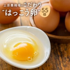 【毎月定期便】上原養鶏場のはっこう卵(赤卵) MS ～ Lサイズ 55個+破卵保障5個全6回