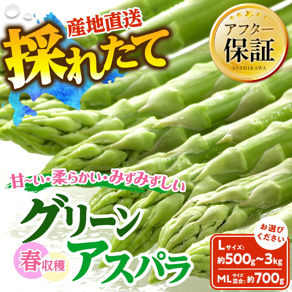 【ふるさと納税】【容量選択可能】春収穫グリーンアスパラ Lサイズ 500g～3kgまたはM-L混合700g（2027年6月上旬から発送開始予定） | 野菜 アスパラ アスパラガス 北海道 春 グリーンアスパラ 旭川市