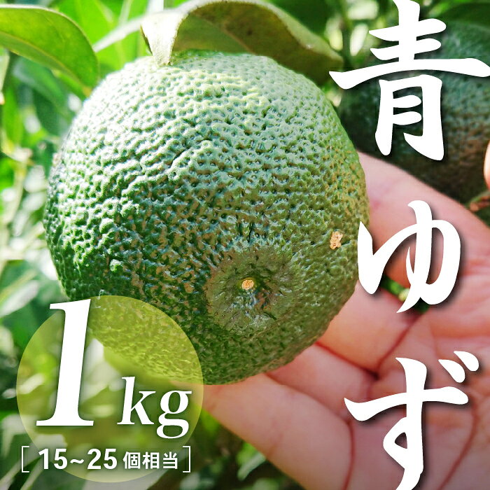 【ふるさと納税】三原村産　青ゆず(キズあり、サイズ不揃い)　1kg