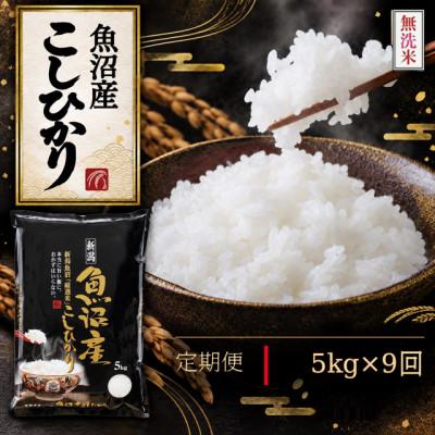 ふるさと納税 魚沼市 【毎月定期便】《無洗米》【食味鑑定士厳選】　新潟県魚沼市産こしひかり　5kg(5kg×1)全9回