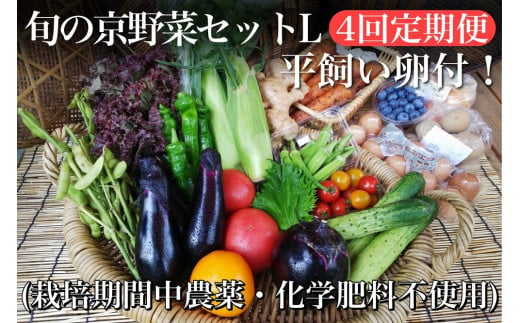 
【4回定期便】＜アスカ有機農園＞旬の京野菜セットL（平飼い卵付）＊毎月お届け全4回
《野菜定期便 野菜詰め合わせ 野菜セット 京野菜 旬の野菜 新鮮野菜 有機野菜 無農薬野菜 卵》
