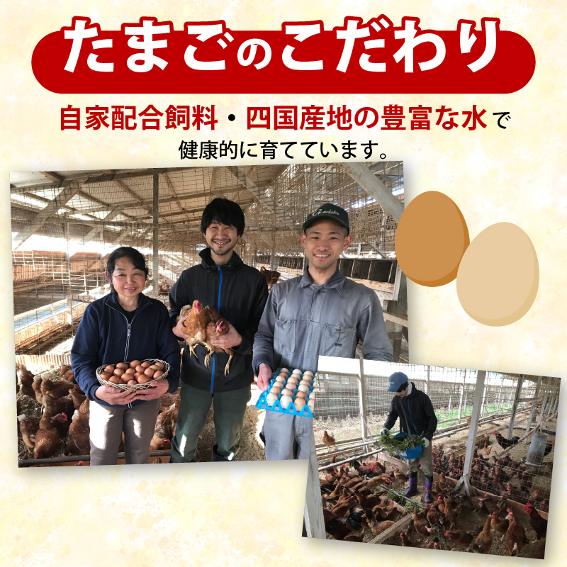 土佐ジローの卵と平飼い卵 セット 各10個(10個×2パック) 合計20個 | たまごのおくだ 新鮮 土佐ジロー 平飼い 卵 たまご 20個 鶏卵 卵黄 エッグ たまごかけ ご飯 玉子 タマゴ 玉子焼