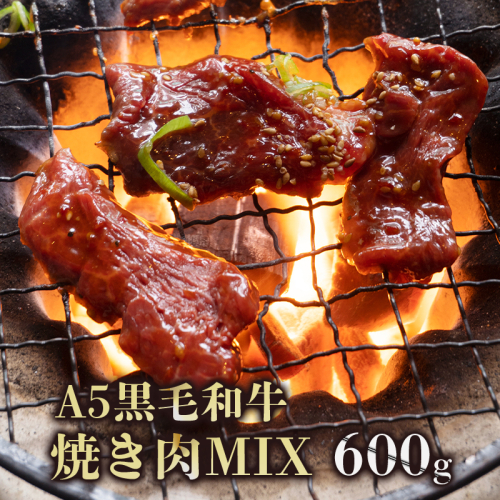 A5 黒毛和牛 焼肉セット MIX肉 600g 150g小分けパック 冷凍 自家製 旨辛タレ 味付け肉 揉み込み 牛肉 焼き肉 モモ カルビ ロース ミックス 熨斗 ギフト 御歳暮 お歳暮 プレゼント 贈答 熨斗 御中元 お中元 夏ギフト
