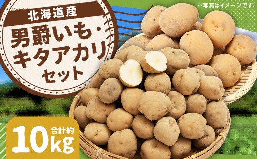 じゃがいも 男爵 キタアカリ Lサイズ 各約5kg×1箱 計約10kg （JA） ジャガイモ 芋 いも イモ 食べ比べ 食べくらべ セット 国産 【2026年9月下旬～12月下旬迄発送予定】