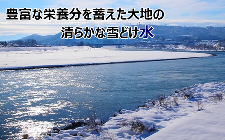 r05-12-2JA ＜令和5年産＞ 魚沼産コシヒカリ5kg【クラフト袋入り】（JA魚沼）白米 魚沼 米