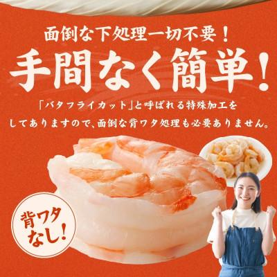 ふるさと納税 泉佐野市 大型むきえび ブラックタイガー 900g 背ワタなし 訳あり サイズ不揃い G1820 |  | 02