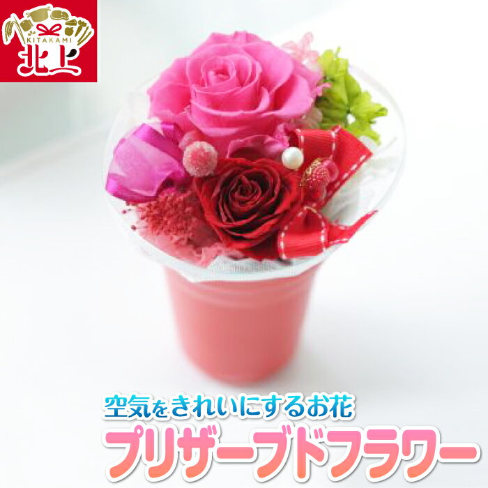 【ふるさと納税】空気をきれいにするお花 プリザーブドフラワー 赤い贈り物 光触媒 インテリア オブジェ 贈り物 花 ドライフラワー 空気洗浄 プレゼント 岩手県 北上市 C0049 あとりえヒロ 贈り物 プレゼント 母の日 敬老の日