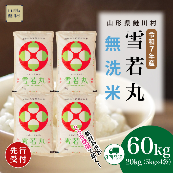 ＜令和7年産米先行受付＞ 鮭川村産 雪若丸 【無洗米】60kg定期便(20kg×3回)　配送時期指定できます！