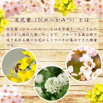 ふるさと納税 寒河江市 【天然熟成】国産非加熱はちみつ 340g×2本《抗生物質・保存料不使用》　011-G58 |  | 02
