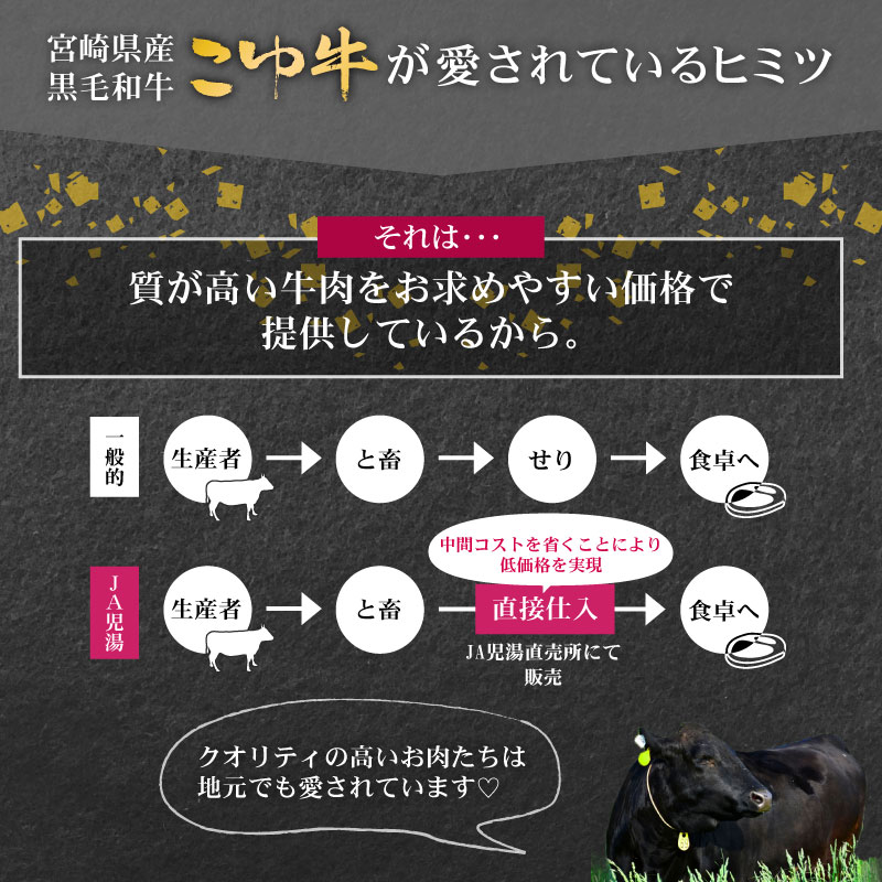 ［訳あり］宮崎黒毛和牛『こゆ牛』切り落としミックスセット 合計1kg（サイコロカット・スライス）A4等級以上【B30】_イメージ3