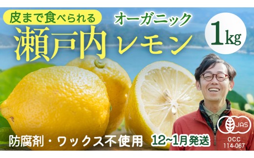 瀬戸内 オーガニック レモン 1kg (8〜12個程度) 先行予約 12〜1月発送 有機JAS ワックス不使用 防腐剤不使用 国産 広島 広島レモン 瀬戸内レモン 有機レモン ノーワックス 柑橘 健康 生搾り レモンサワー 産地直送 中原観光農園 大崎上島