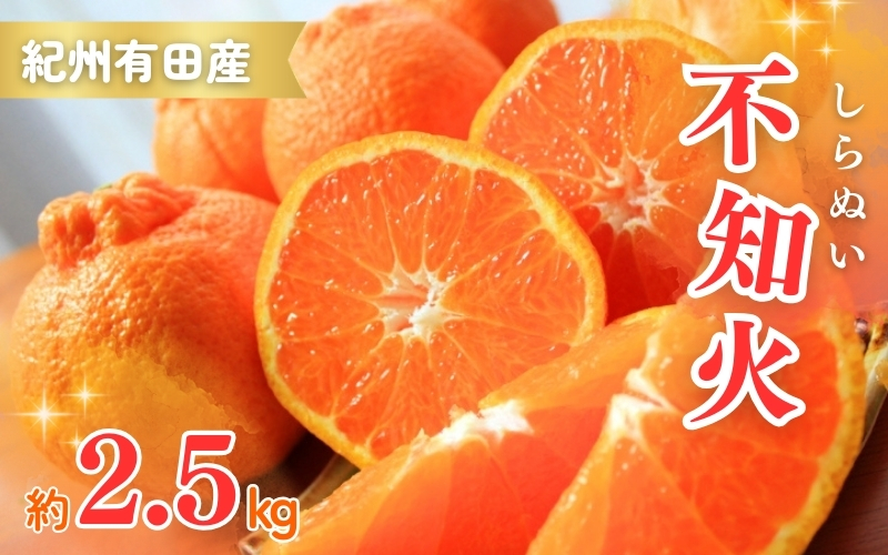 【先行予約】紀州有田産不知火(しらぬひ) 2.5kg ※2026年2月中旬頃〜2026年3月中旬頃に順次発送予定（お届け日指定不可）/ みかん 不知火 和歌山 フルーツ 有田【uot794】