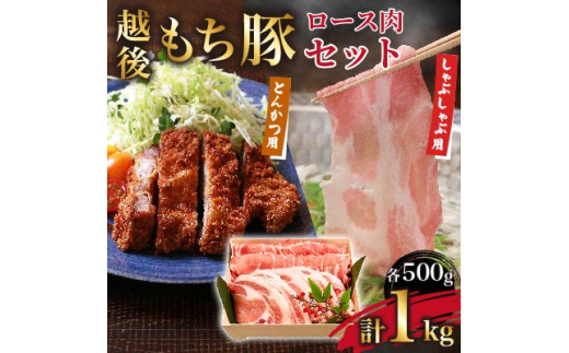 柔らかジューシー!越後もち豚ロース (しゃぶしゃぶ用500g・とんかつ用500g) 1kg【1272696】