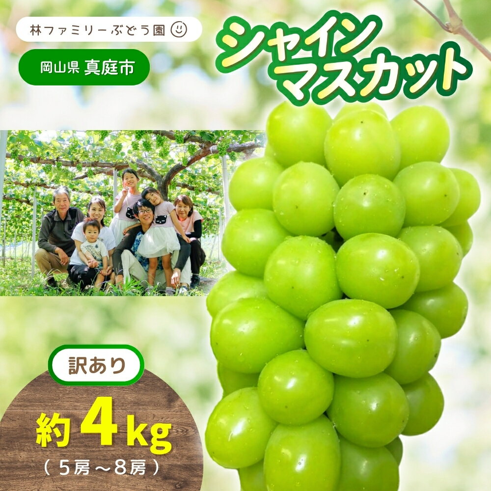 【ふるさと納税】【 訳あり 】岡山県産 林ファミリー の シャインマスカット 約4kg（約5～8房） 【2025年 先行予約 】 / 岡山 真庭市 マスカット 葡萄 ぶどう ブドウ 果物 フルーツ 新鮮 当日出荷 人気 家庭用 お試し ぶどう専門