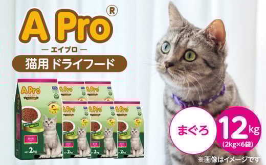 A Pro 猫用 ドライフード（まぐろ）2kg×6袋_A Pro 猫用 ドライフード 2kg × 6袋 まぐろ オールステージ用 総合栄養食 愛猫 健康 サポート 猫 キャットフード 福岡県 久留米市_Pf040-02