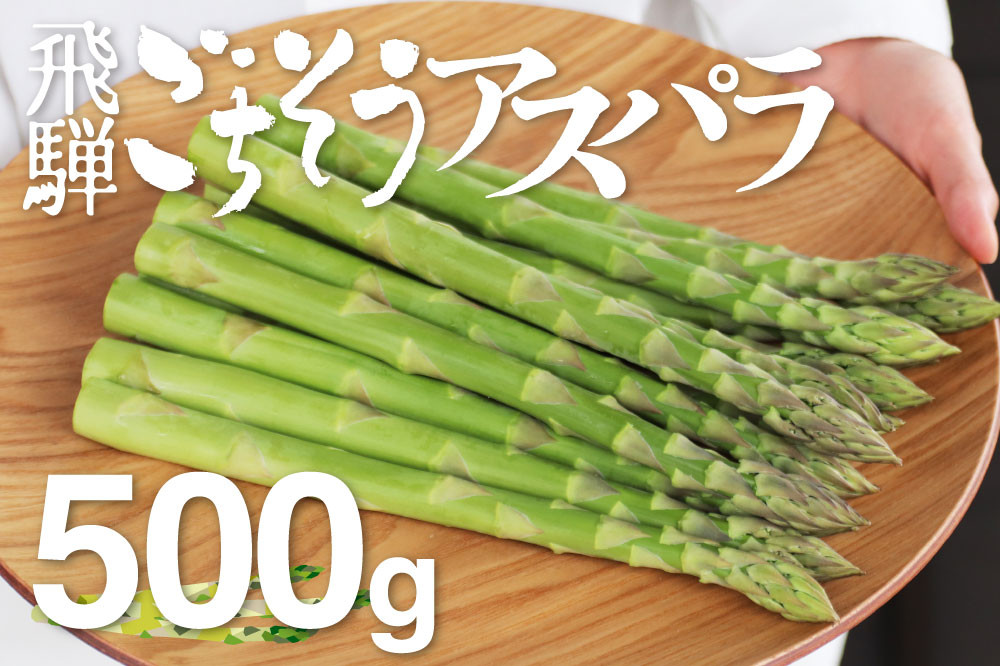 
《サイズが選べる》【先行予約 令和7年 2025年発送】 飛騨の甘～い柔らかアスパラガス 500g syun77
