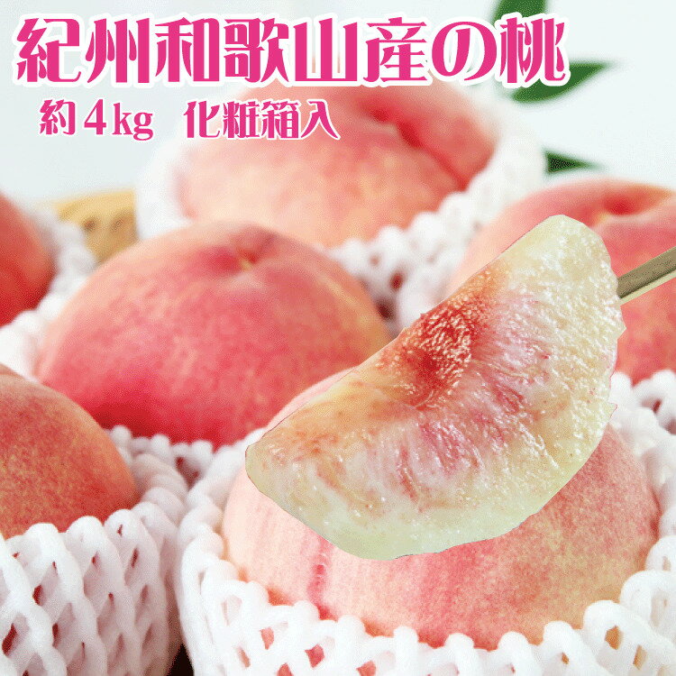 【ふるさと納税】 紀州和歌山産の桃 約4kg 化粧箱入※2026年6月下旬頃〜2026年8月上旬頃順次発送（お届け日指定不可）