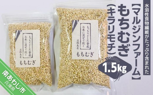 
                  淡路島 南あわじ産　もちむぎ（キラリモチ）1.5kg
                