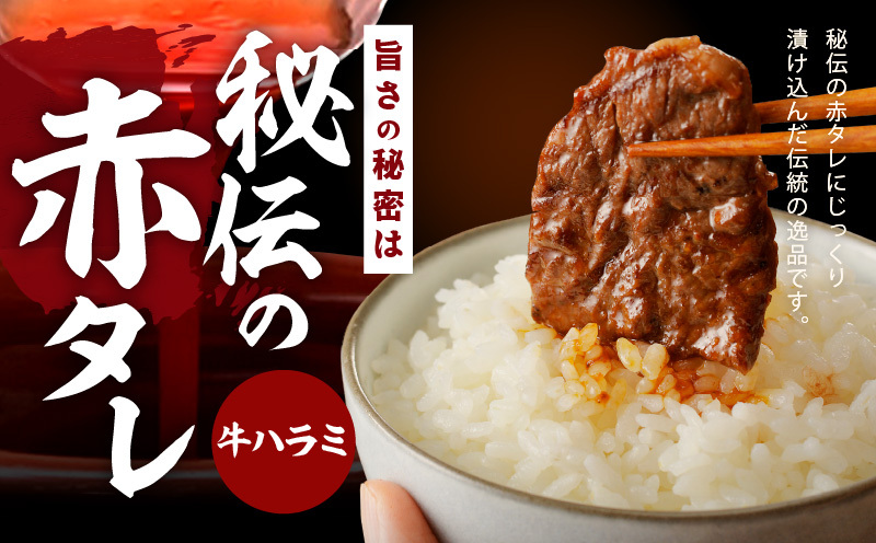牛タン＆牛ハラミ お試し 1kg 焼肉セット【成型牛たん ハラミ 味付き 牛肉 やきにく BBQ 薄切り スライス 訳あり サイズ不揃い】 G3180_イメージ4
