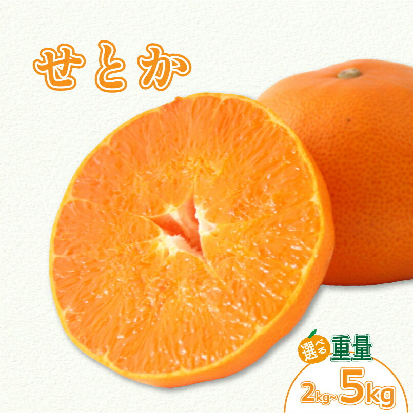 【ふるさと納税】 【2026年3月上旬より発送】 愛媛県 みかん せとか 2kg/5kg | 数量選択可 せとか みかん 蜜柑 柑橘 数量限定 愛媛県産 松山市 中島 低農薬 愛媛県 松山市
