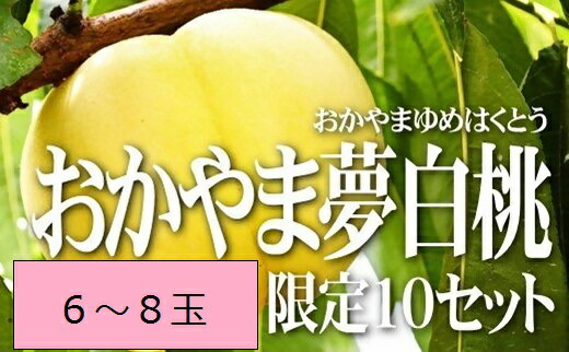 【ふるさと納税】　桃　おかやま夢白桃（6〜8個）　FF−35