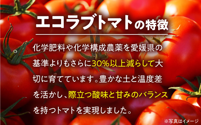 自然な美味しさ、たっぷり味わう。エコラブトマトMから2Lサイズ（20から24玉）約3.5kg　愛媛県大洲市/沢井青果有限会社 [AGBN012]パスタ 野菜 サラダ チーズ リコピン ランチ 夏野菜 