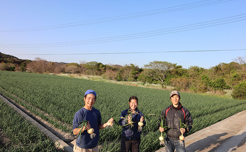 淡路島産玉ねぎ3kg 兵庫県 洲本市 淡路島
